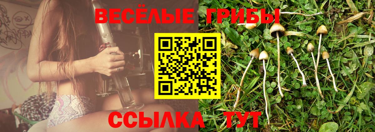 Меф мяу мяу Юрга