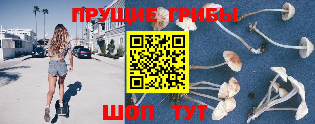 Галлюциногенные грибы прущие грибы  Галлюциногенные грибы прущие грибы  Юрга  Вход с VPN 